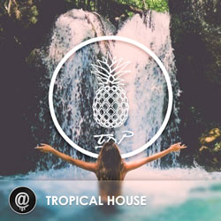 Tropical House Charts